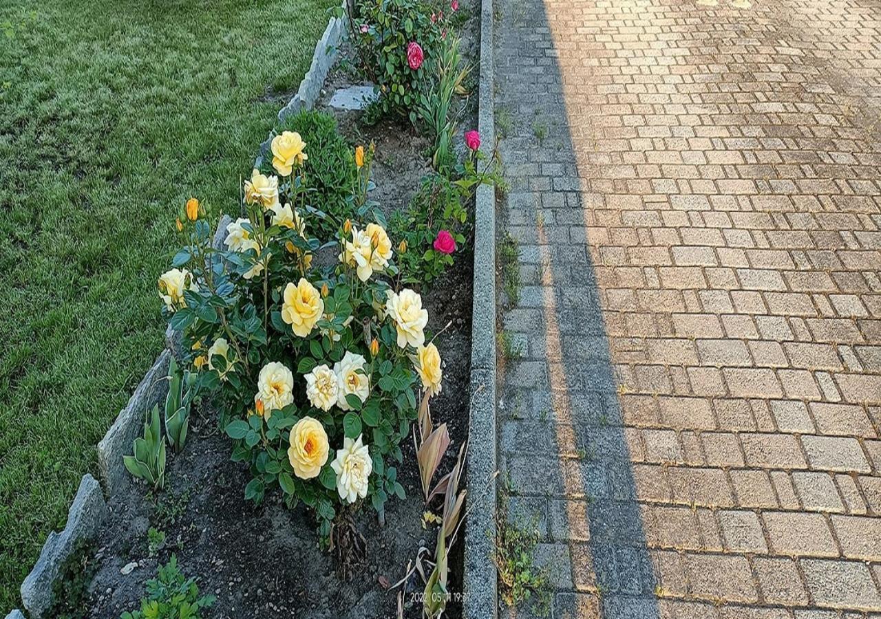 La Magnolia B&B Gassino Torinese Zewnętrze zdjęcie