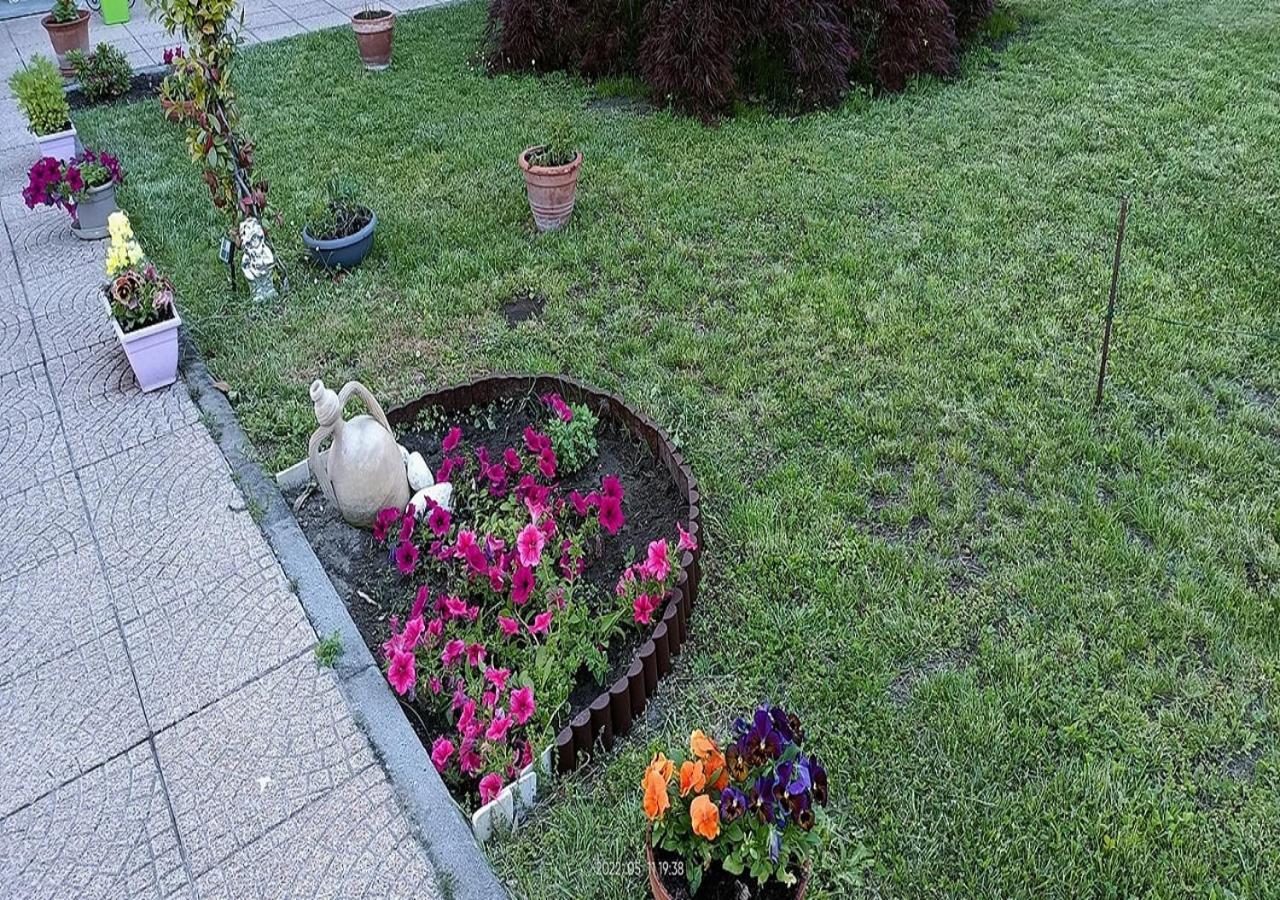 La Magnolia B&B Gassino Torinese Zewnętrze zdjęcie
